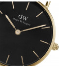 Daniel Wellington Petite Evergold 32mm