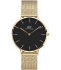 Daniel Wellington Petite Evergold 36mm