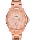 Fossil Cecile AM4483