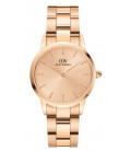 Daniel Wellington Iconic Link Unitone 28mm